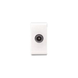 Prise TV CLARA 43|sfh|dbd76169ee02|