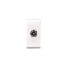 Prise TV CLARA 43|sfh|dbd76169ee02|