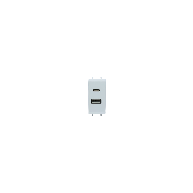Chargeur USB 20W PD Type A+C 1 Module Clara 43