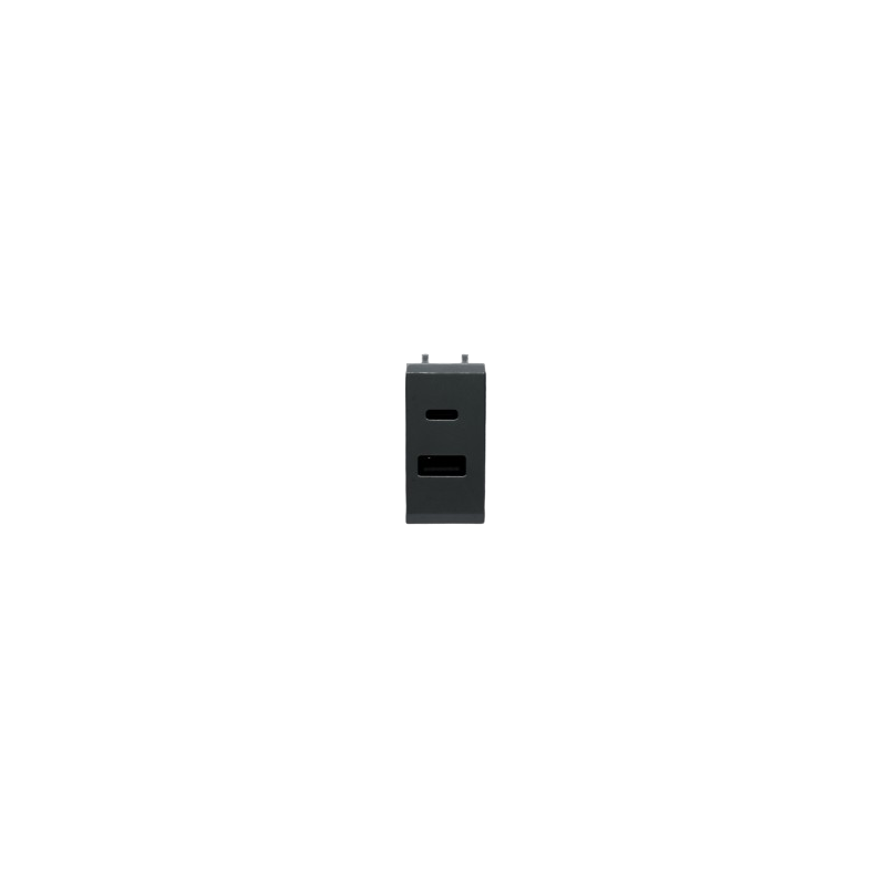Chargeur USB 20W PD Type A+C 1 Module Nera 43